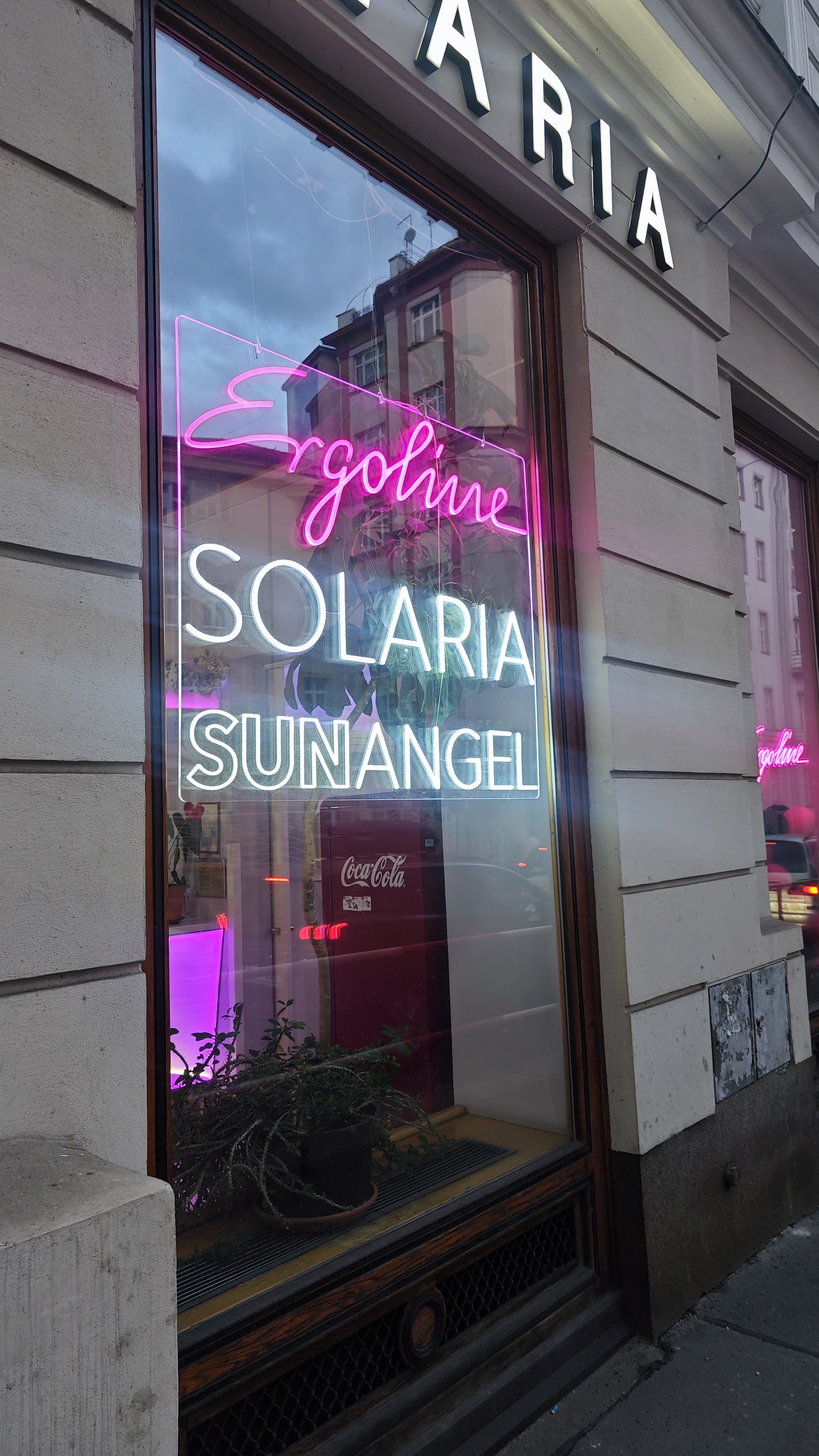 Neonové nápisy Solaria Sunangel (3)